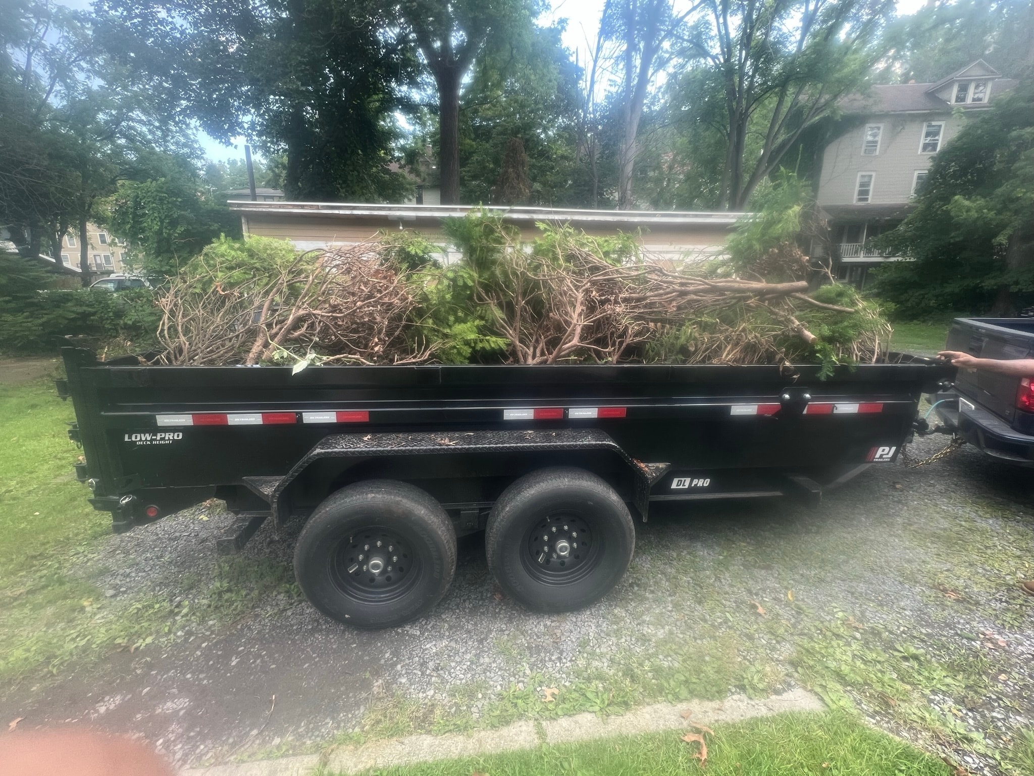 Yard Waste Removal
