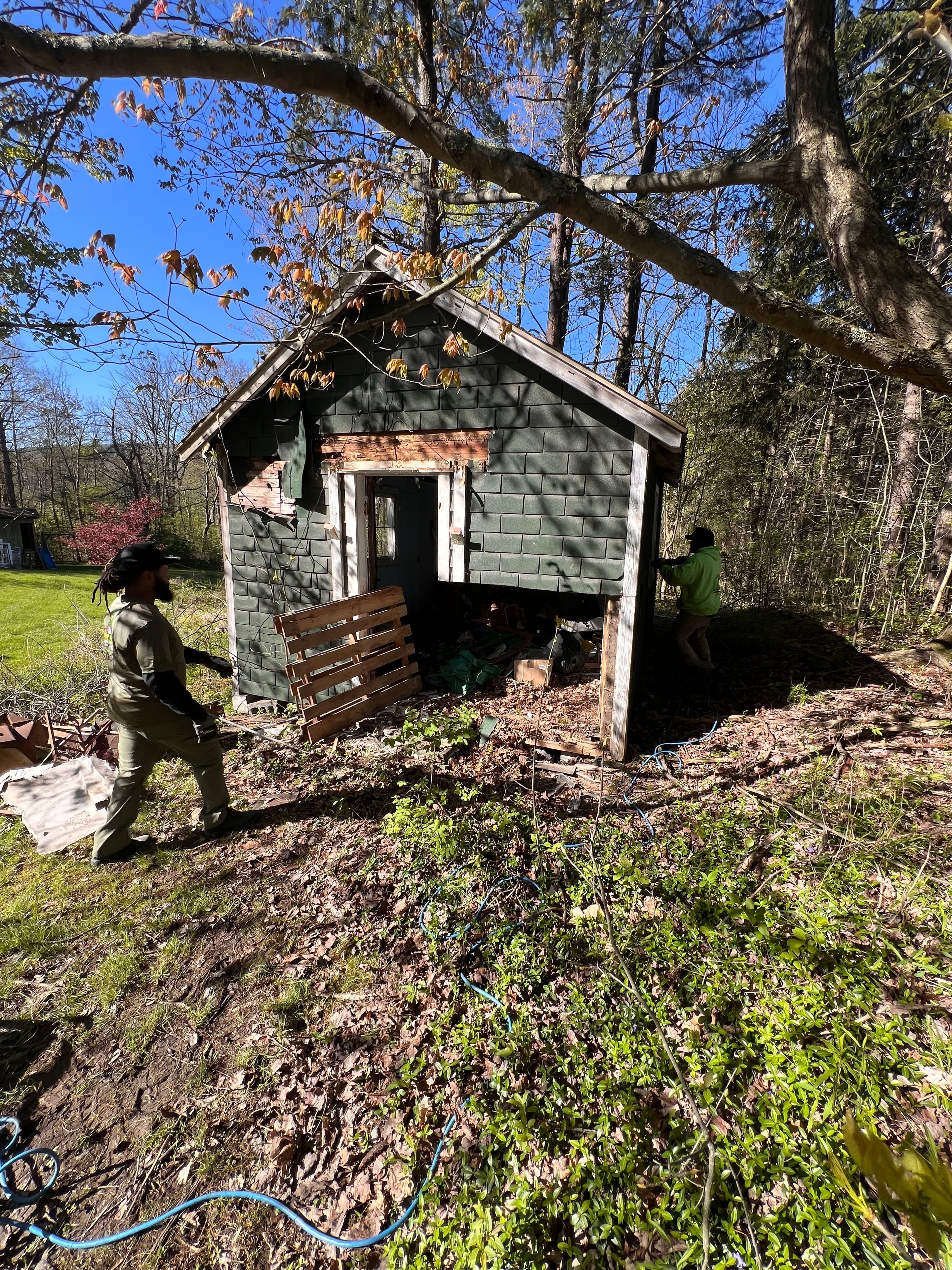 Shed Demolition